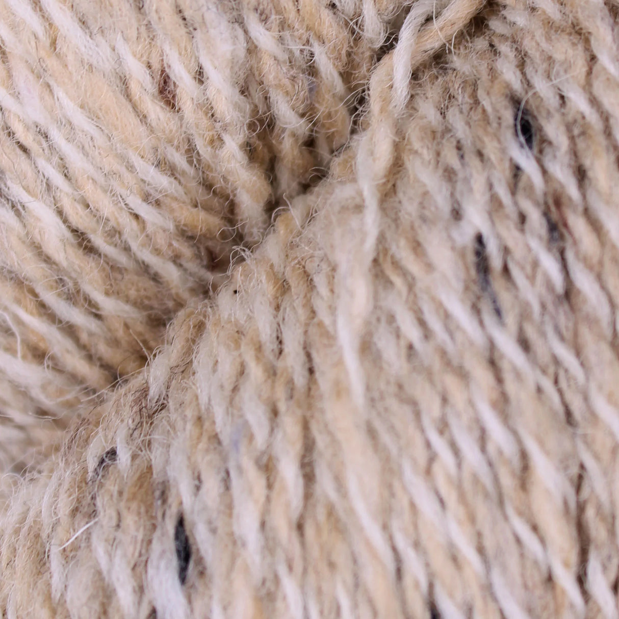 Baa Ram Ewe | Donegal Twists | Sluagh
