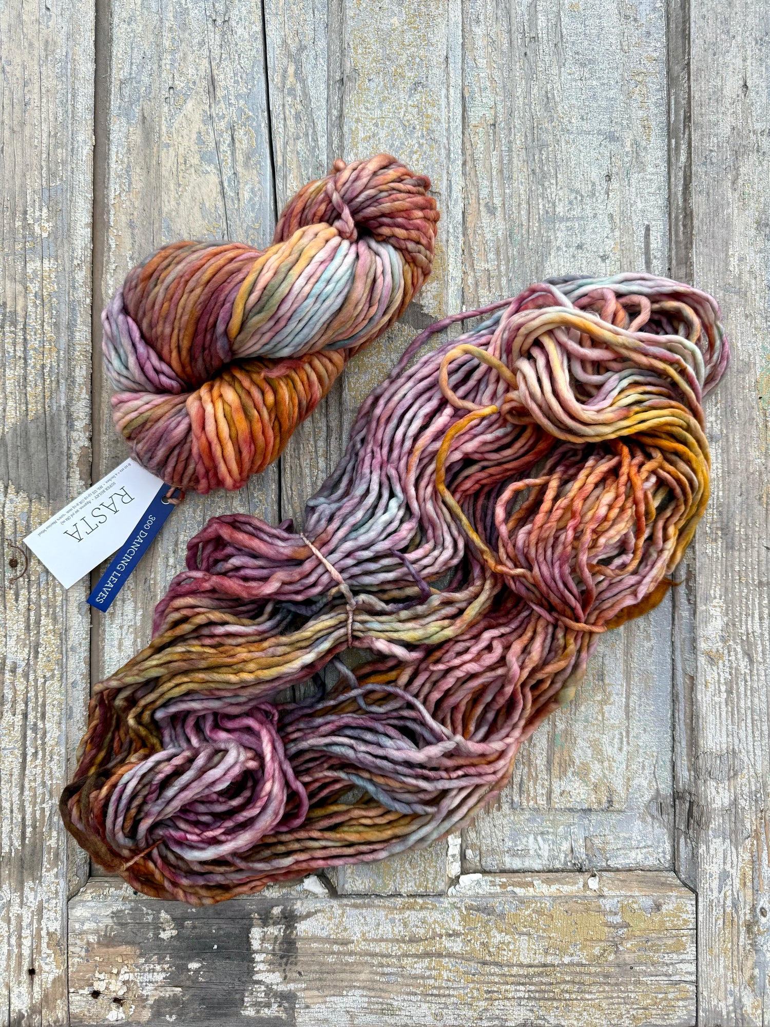 Malabrigo Rasta | Dancing Leaves