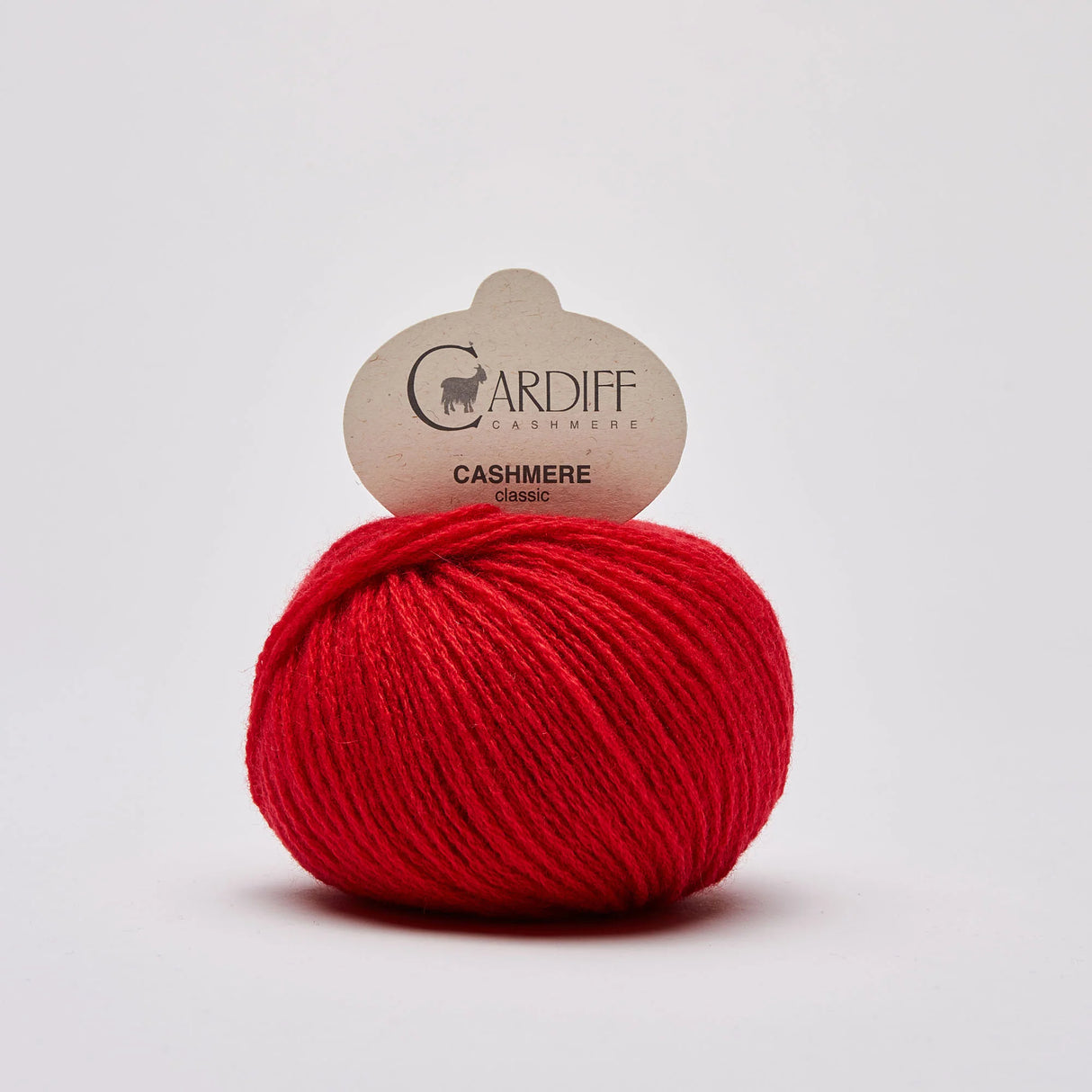 Cardiff Cashmere | Classic | Gerbera (564)