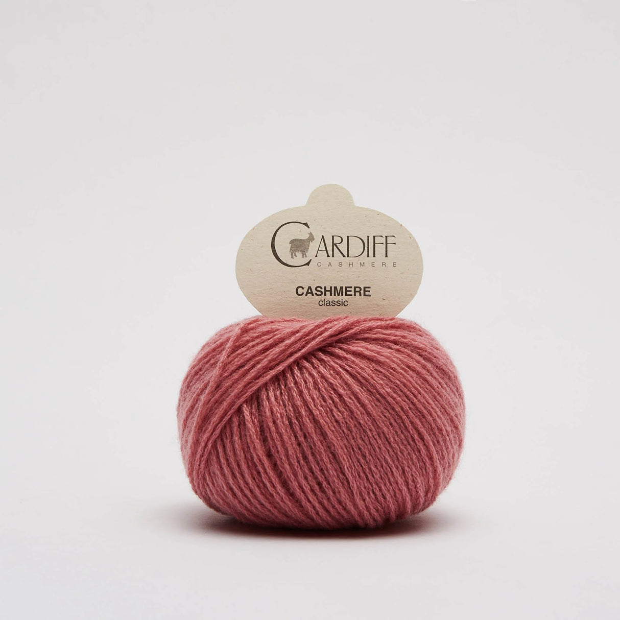 Cardiff Cashmere | Classic | Hashi (716)