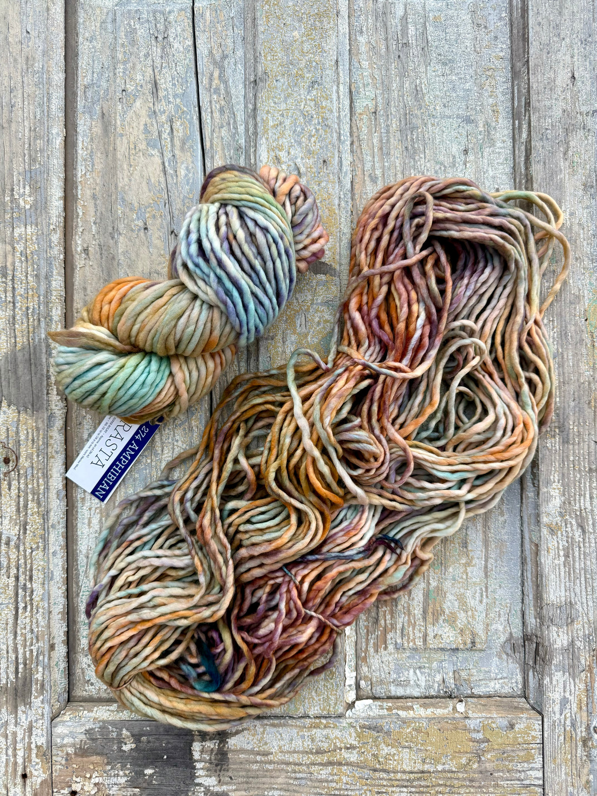 Malabrigo Rasta | Amphibian