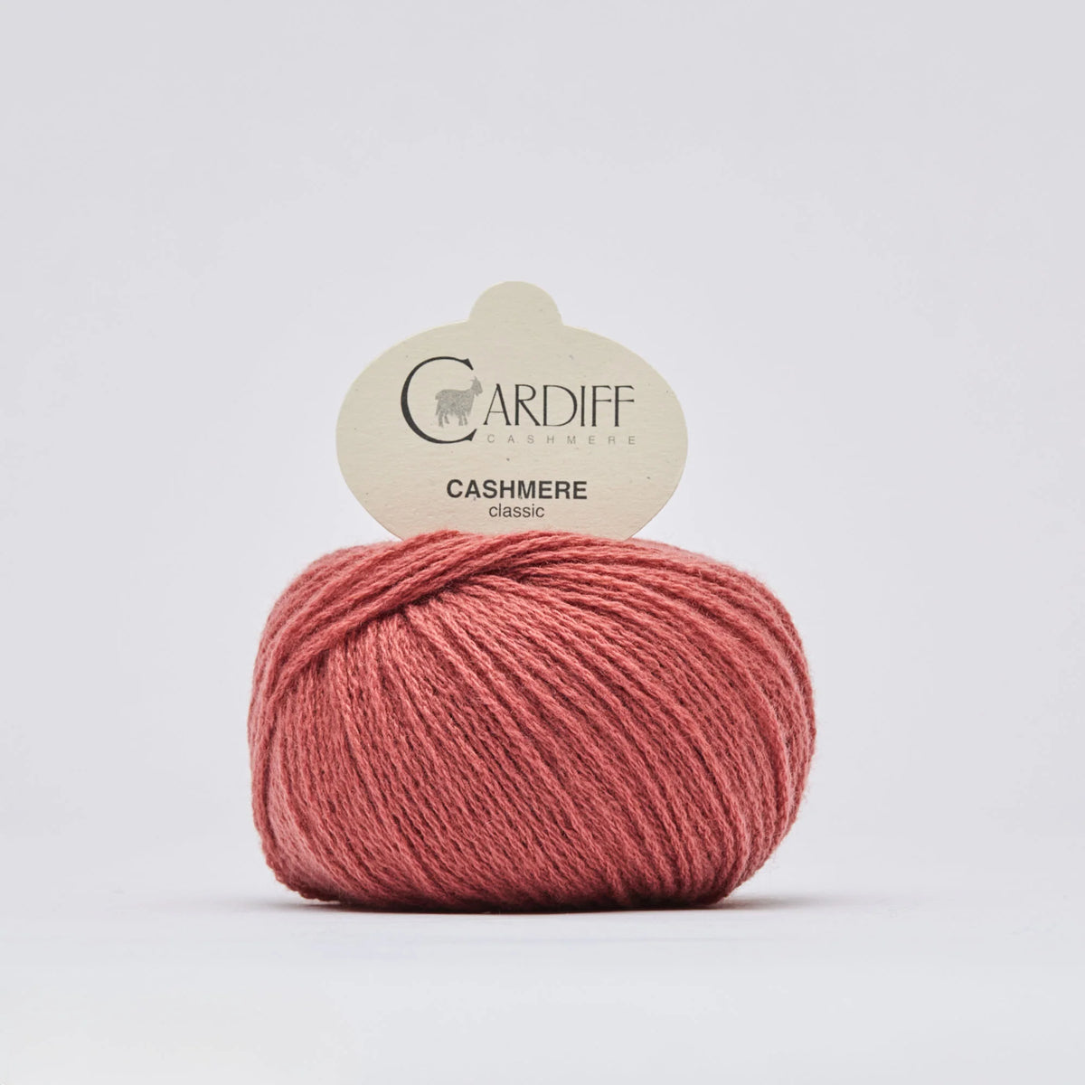 Cardiff Cashmere | Classic | Agape (736)