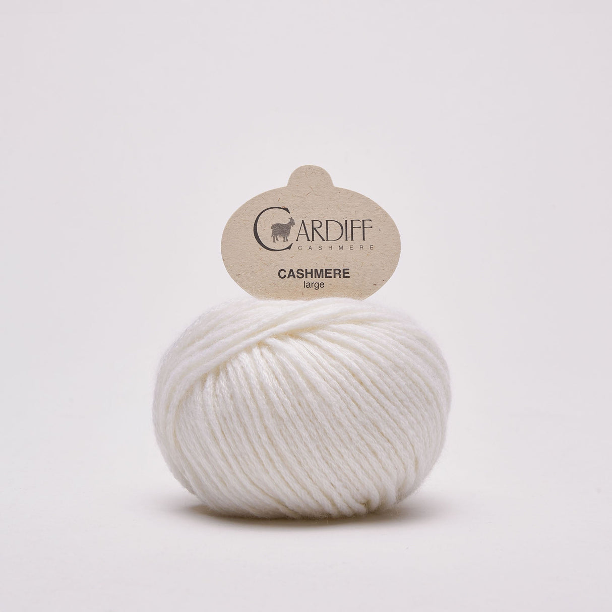 Cardiff Cashmere | Large | Candido (623)