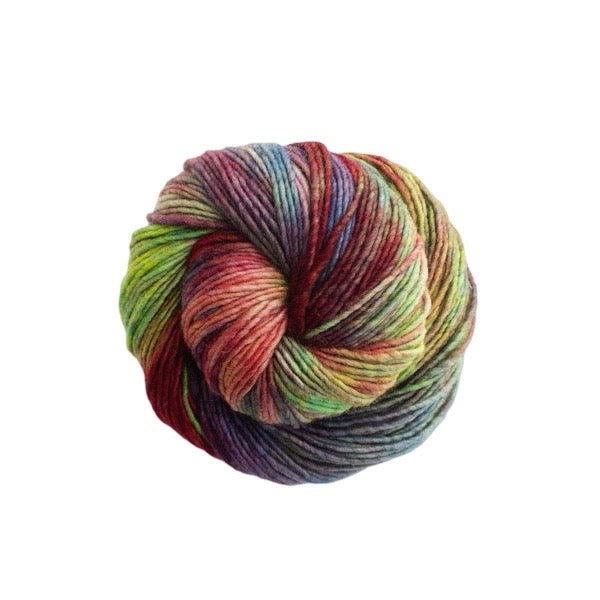 Malabrigo Worsted | Camaleon