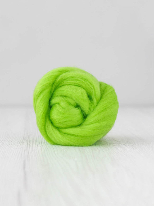 Dyeing House Gallery | Wool Roving 50g | 80’s Collection | Mint