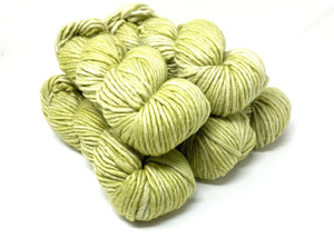 Baah Yarn Sequoia | Cactus What You Preach